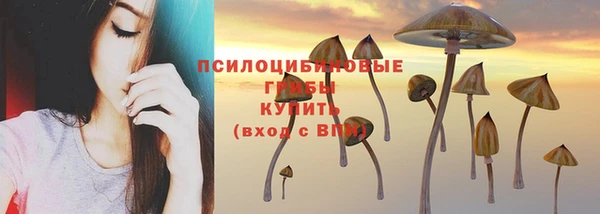 а пвп мука Киреевск
